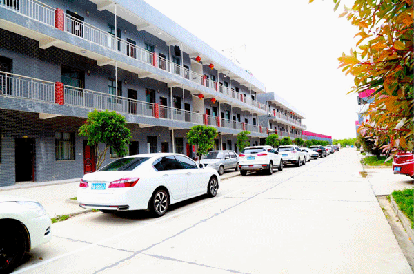 天然居硅藻泥特邀十大品牌欄目組前往考察交流 天然居硅藻泥特邀十大品牌欄目組前往考察交流