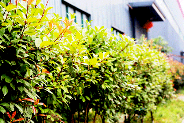 天然居硅藻泥第22期營銷培訓圓滿結業(yè)